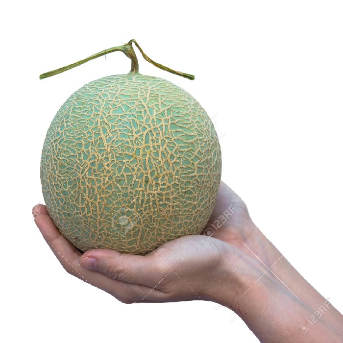 le melon doit etre assez lourd pour sa taille