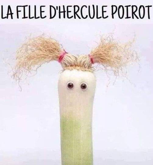 Fille d Hercule Poirot