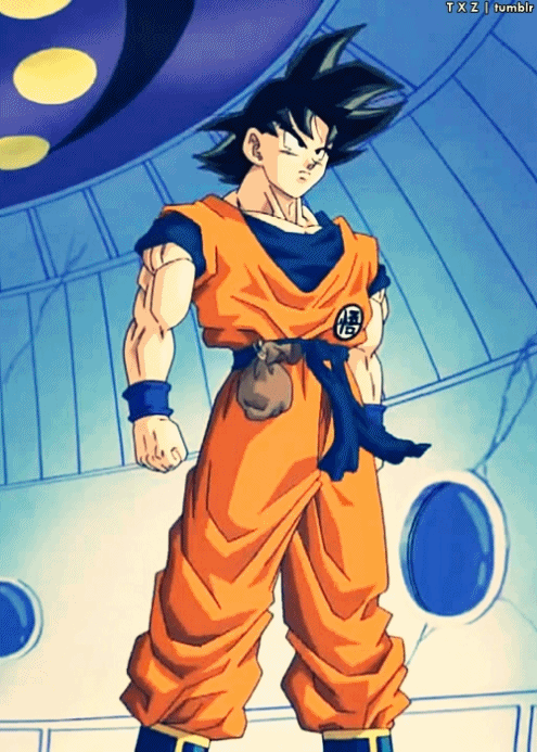 Son Goku 02