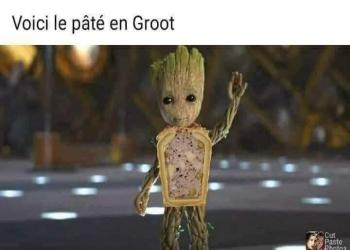 La pâté en Groot