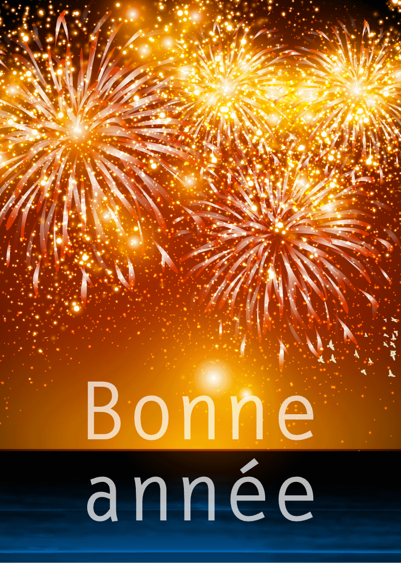 bonne annee 010