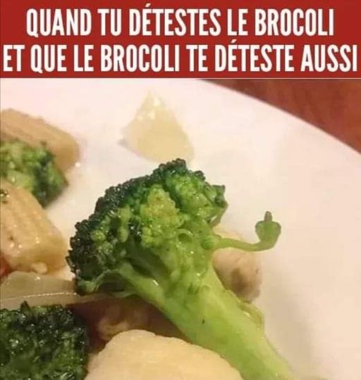 image drole brocoli