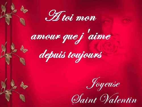 Joyeuse Saint Valentin a mon amour