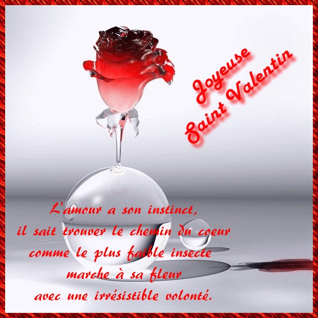 Joyeuse Saint Valentin amour instinct