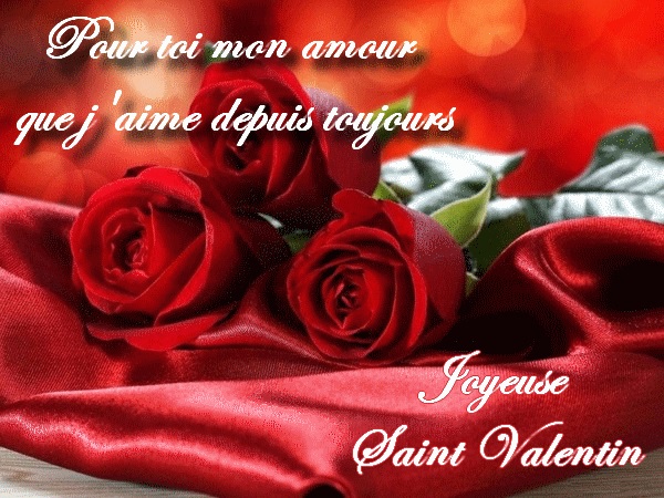 Pour toi mon amour Joyeuse Saint Valentin