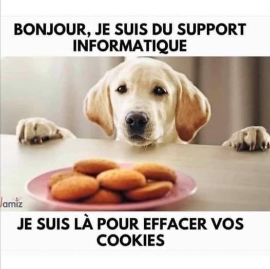 image drole cookies