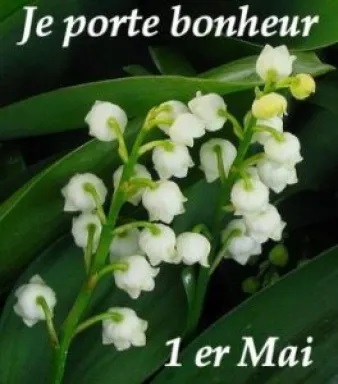 Je porte Bonheur 1er Mai