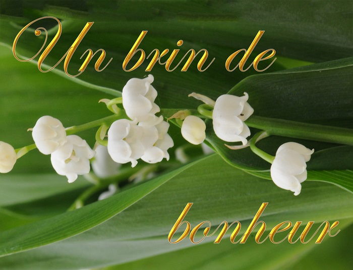 Un brin de bonheur