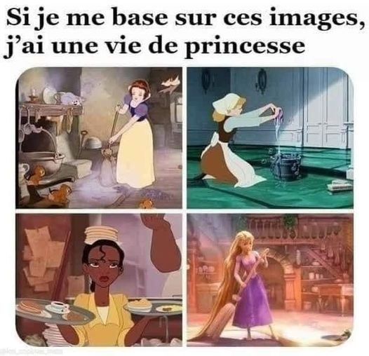 image drole une vie de princesse