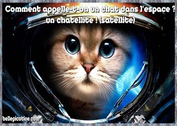 Blagues animaux en images