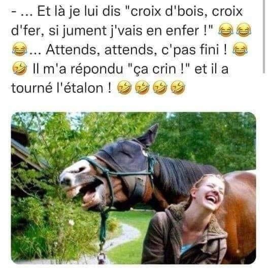 Blague Cheval