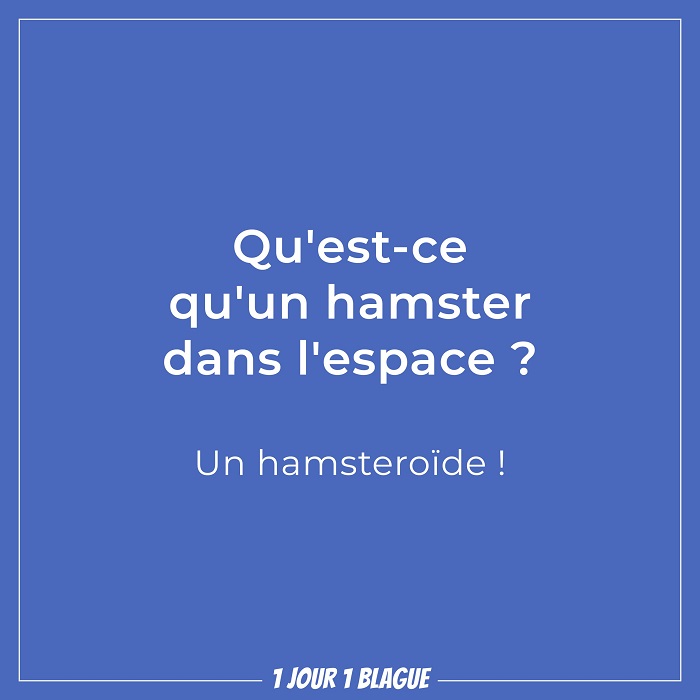 Blague Hamster