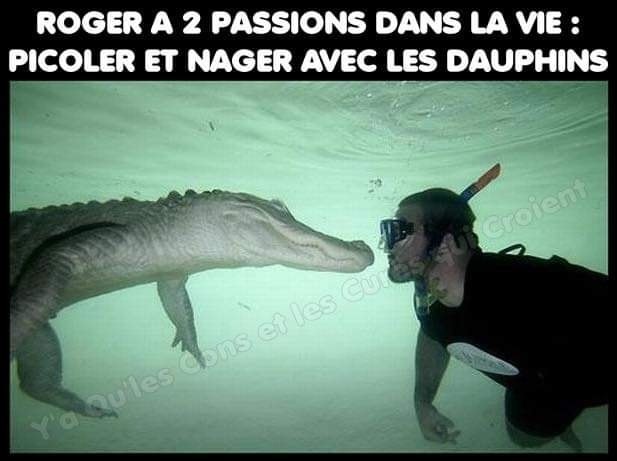 image drole alcool et passion