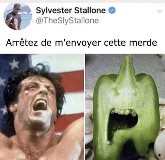 Sylvester Stallone vs Twitter