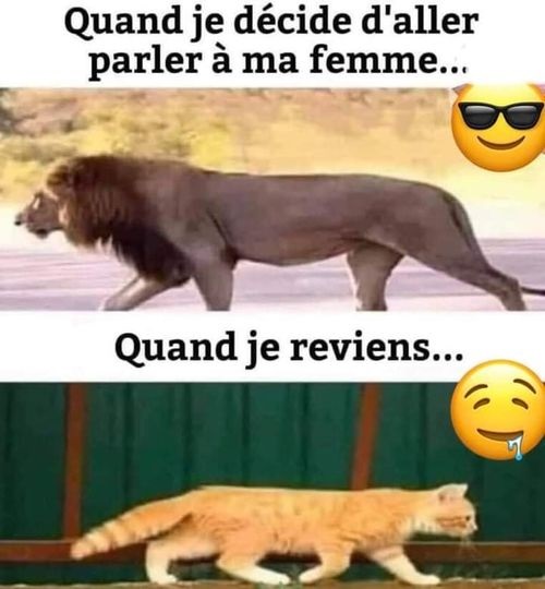 image drole parler a sa femme