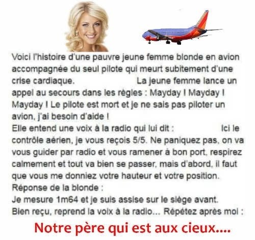 Blague Blonde en avion