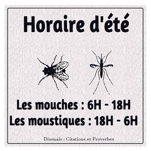 image drole horaires ete