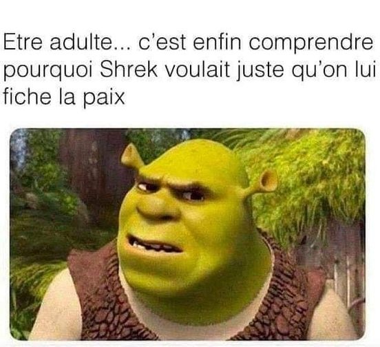 Shrek et l age adulte