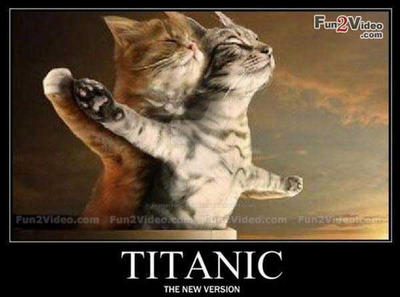 Titanic parodie feline
