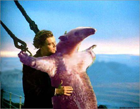 Titanic parodie