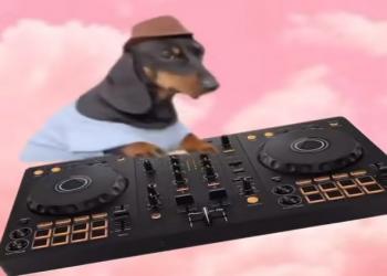 DJ Dog