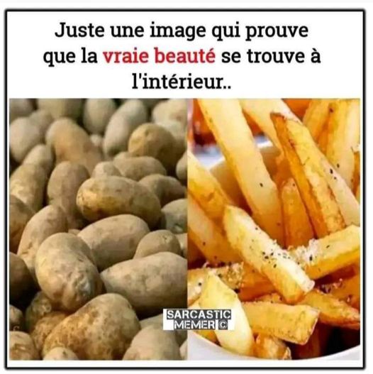 image drole les frites