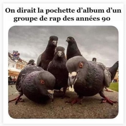 image drole groupe de rap 90