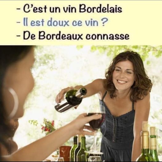 image drole vin de bordeaux